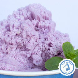 taro_snow